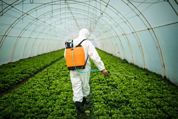 Best Ant Control Services  in Manhattan, IL