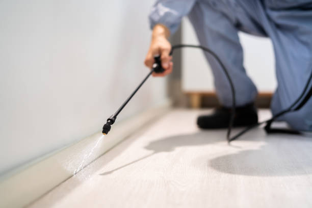 Best Pest Prevention Services  in Manhattan, IL