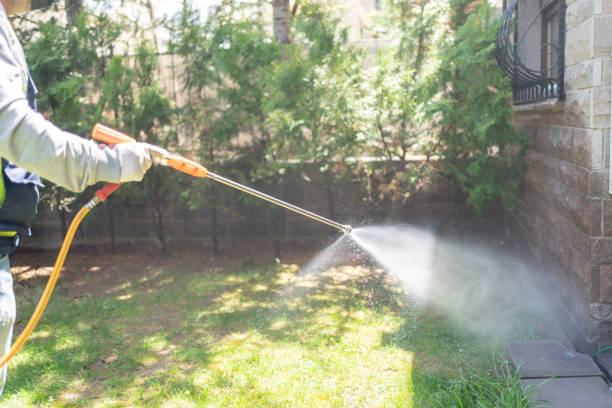 Best Pest Removal Services  in Manhattan, IL