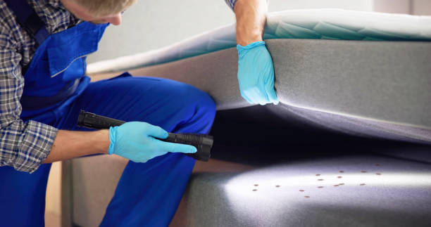 Best Affordable Pest Control Services  in Manhattan, IL