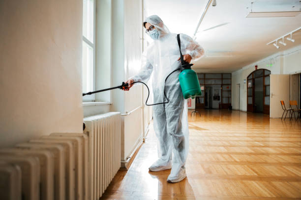 Best Affordable Pest Control Services  in Manhattan, IL