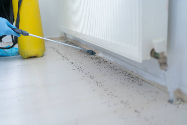 Best Residential Pest Control  in Manhattan, IL