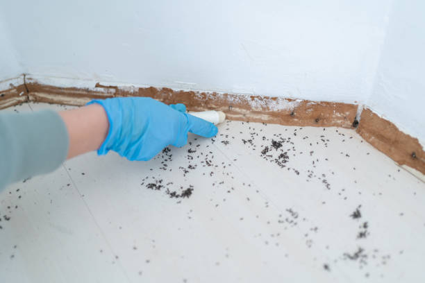 Best Pest Control for Businesses  in Manhattan, IL