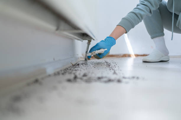 Professional Pest Control in Manhattan, IL