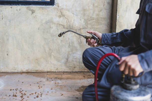 Best Pest Removal Services  in Manhattan, IL